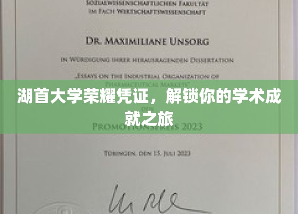 湖首大学荣耀徽章，开启你的学术巅峰探索之旅