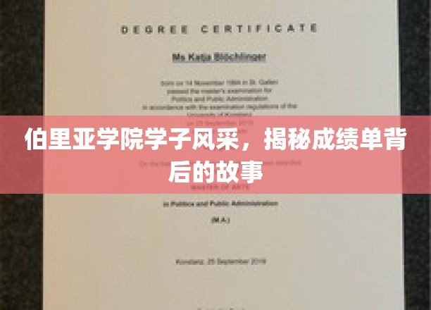 伯里亚学子荣耀瞬间，揭秘成绩单背后的青春足迹