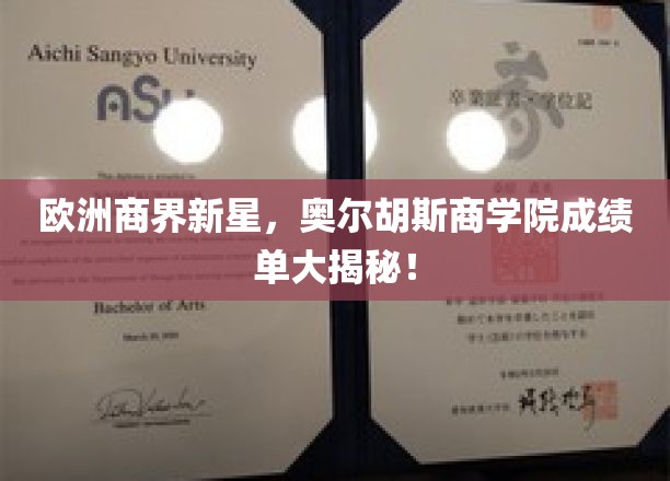 揭开奥尔胡斯商学院商业精英的秘密档案